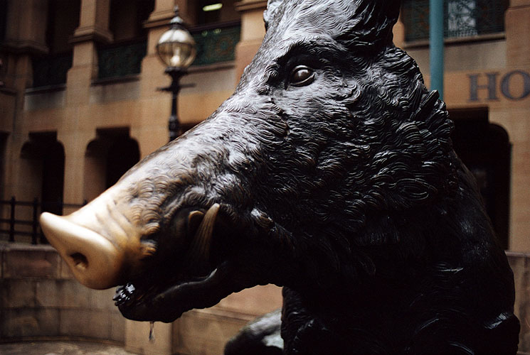 'Il Porcellino', Sydney Hospital, January 2003